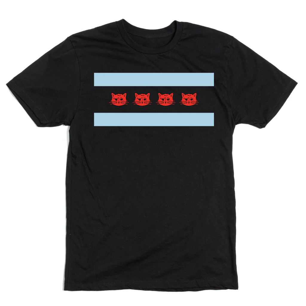 Chicago Flag Gary - Image 2