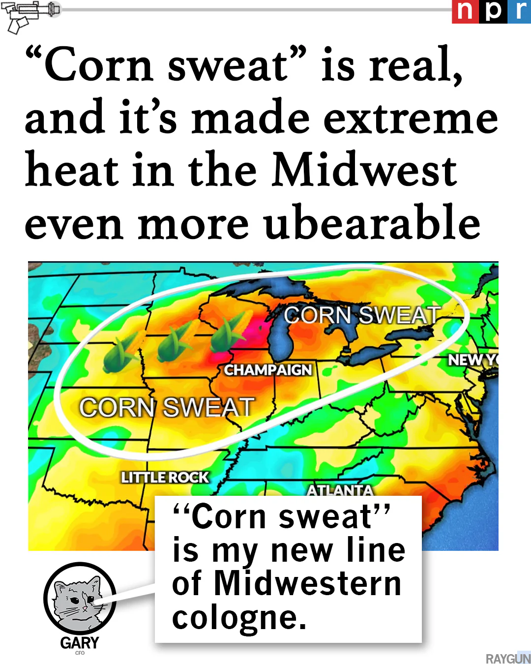 Corn Sweat & Tears Heavyweight - Image 3