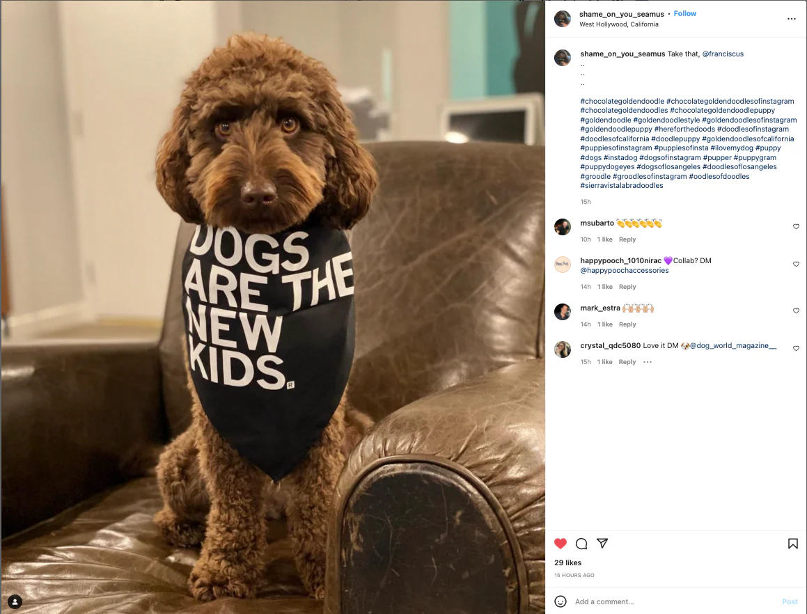Dogs Are The New Kids Dog Bandana - Image 3