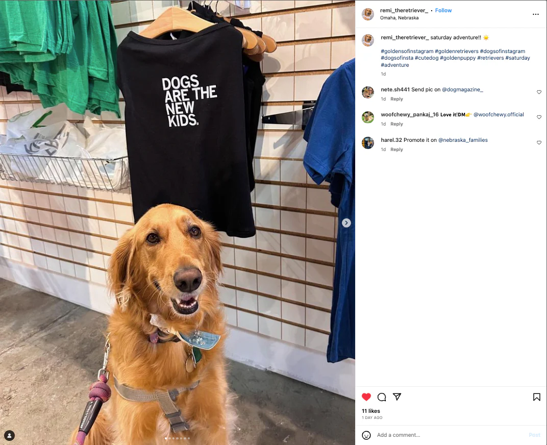 Dogs Are The New Kids Dog Shirt - Image 4