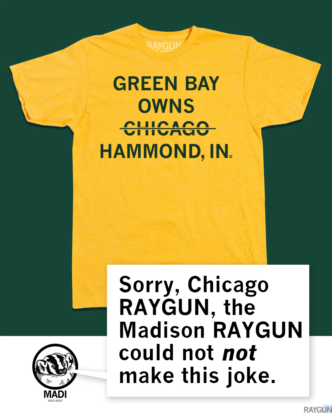 Green Bay Owns Hammond Indiana - Image 4