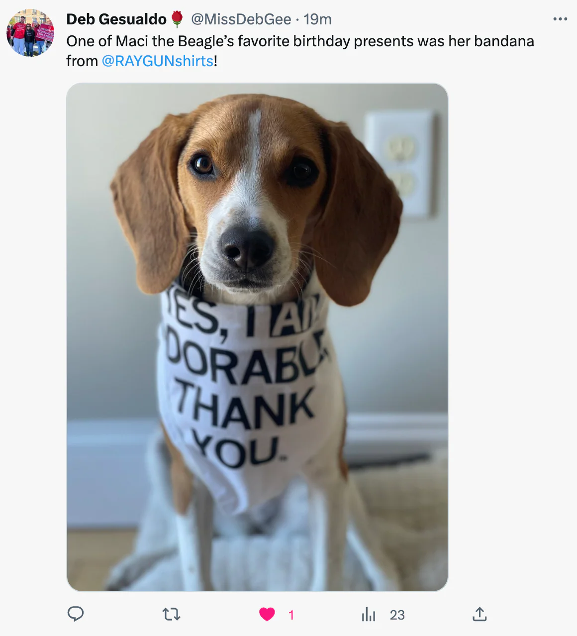 I Am Adorable Dog Bandana - Image 3