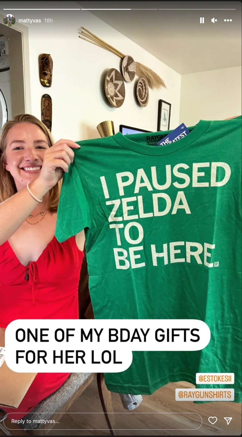 I Paused Zelda To Be Here - Image 4