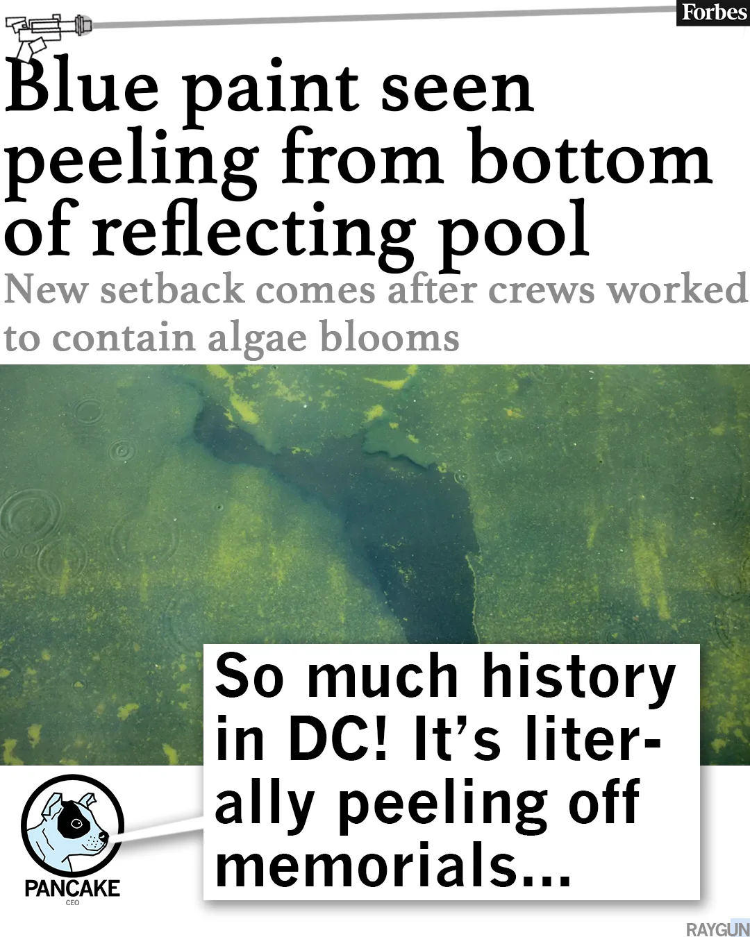 Let's Go Algae - Image 3