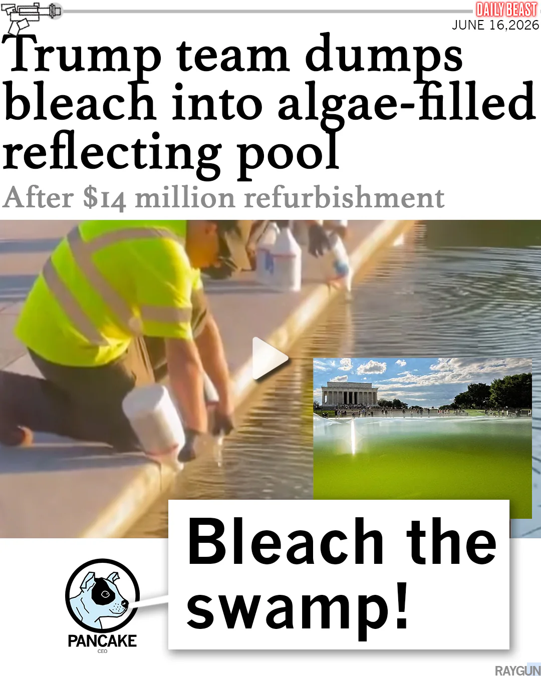 Let's Go Algae - Image 4