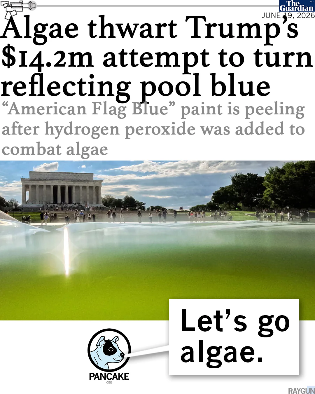 Let's Go Algae - Image 5