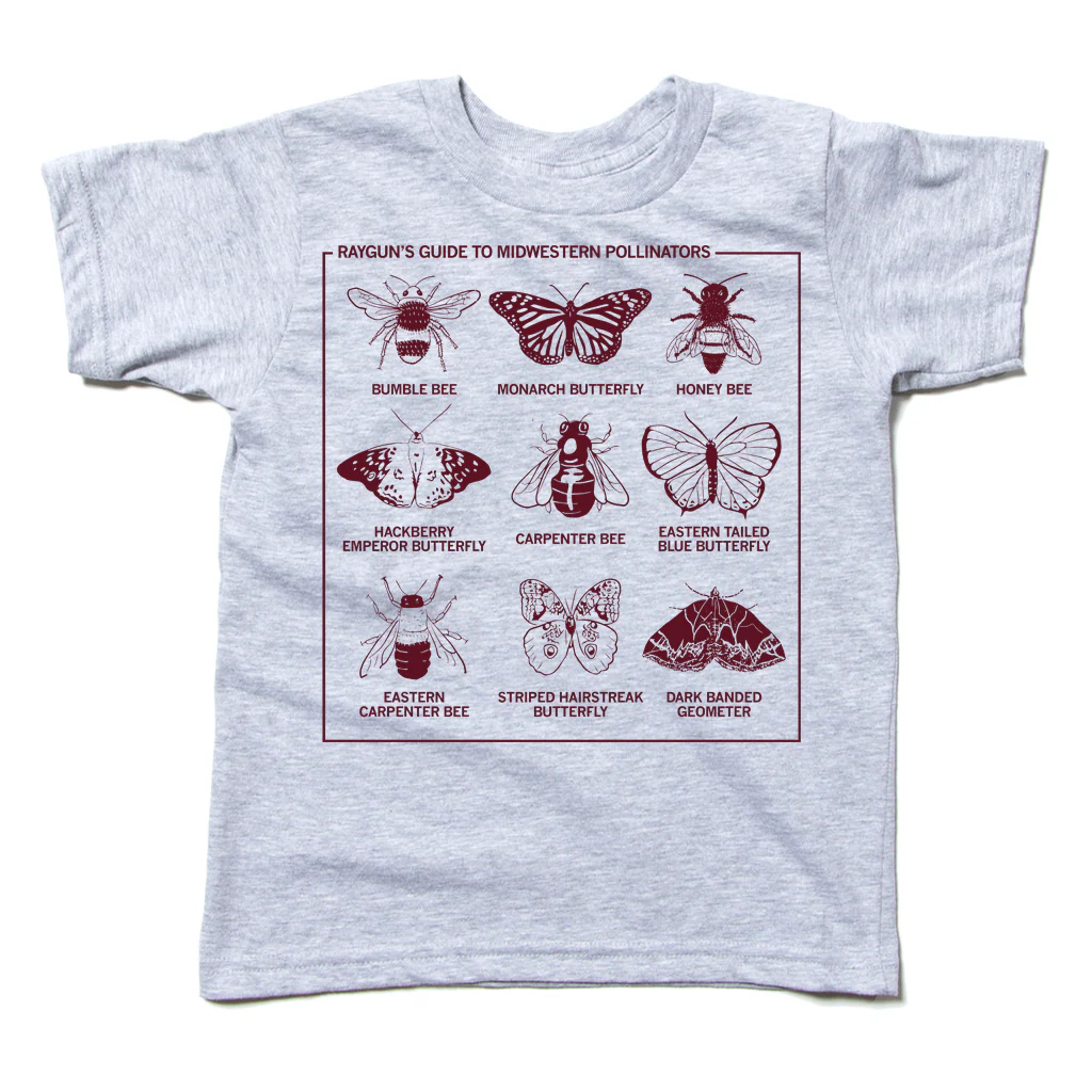 Midwestern Pollinators Kids