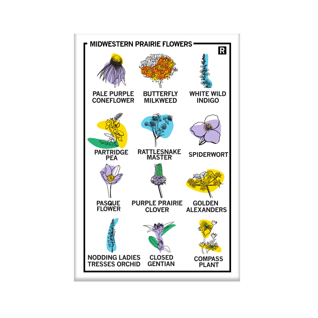 Midwestern Prairie Flowers Magnet