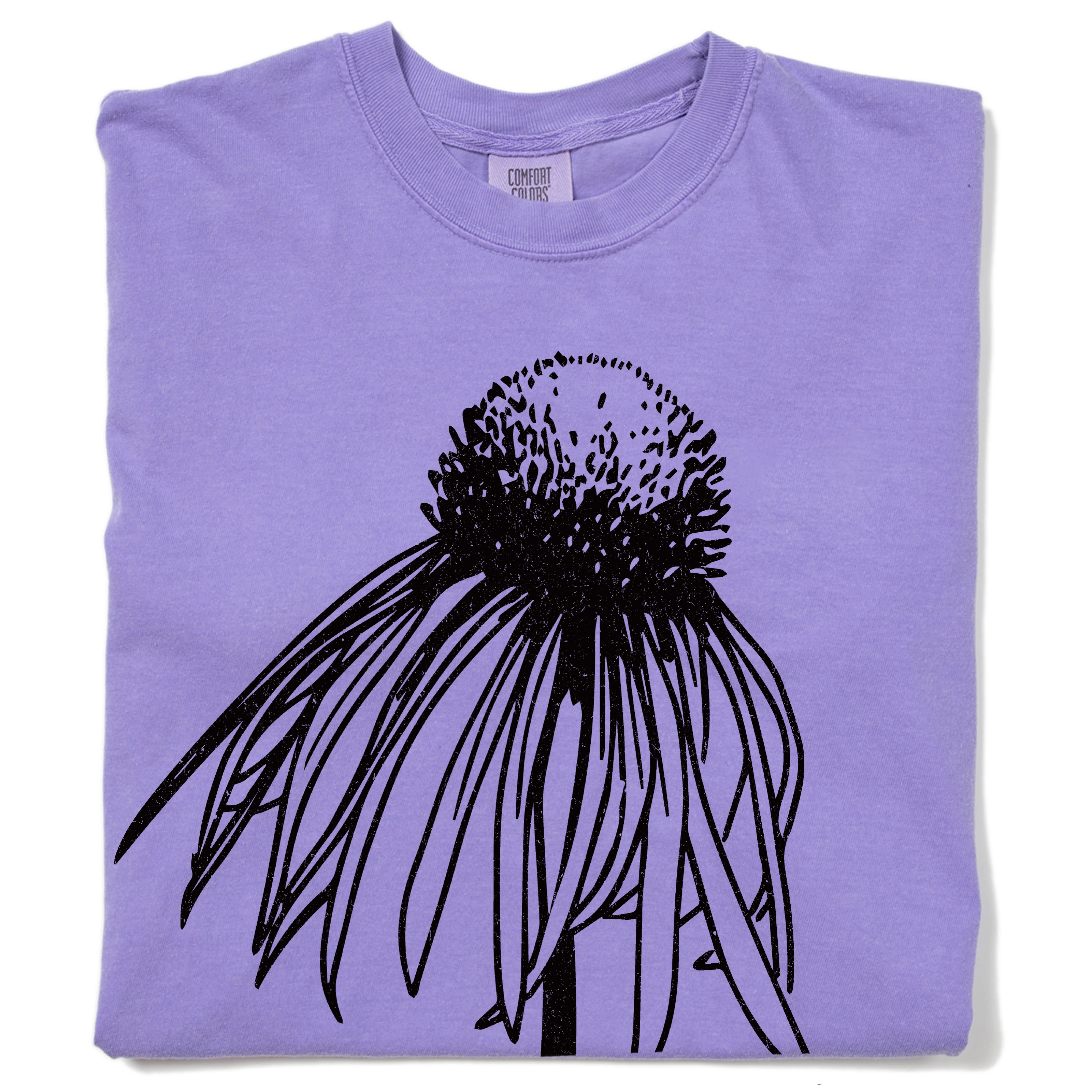 Pale Purple Coneflower Heavyweight