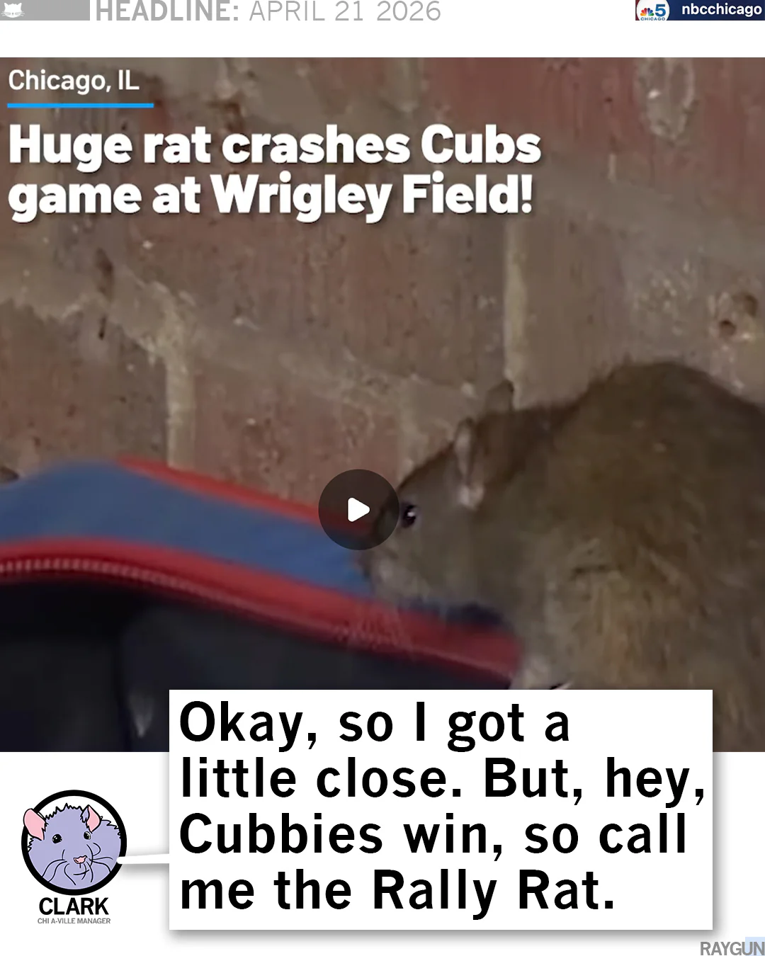 Rally Rat - Image 3