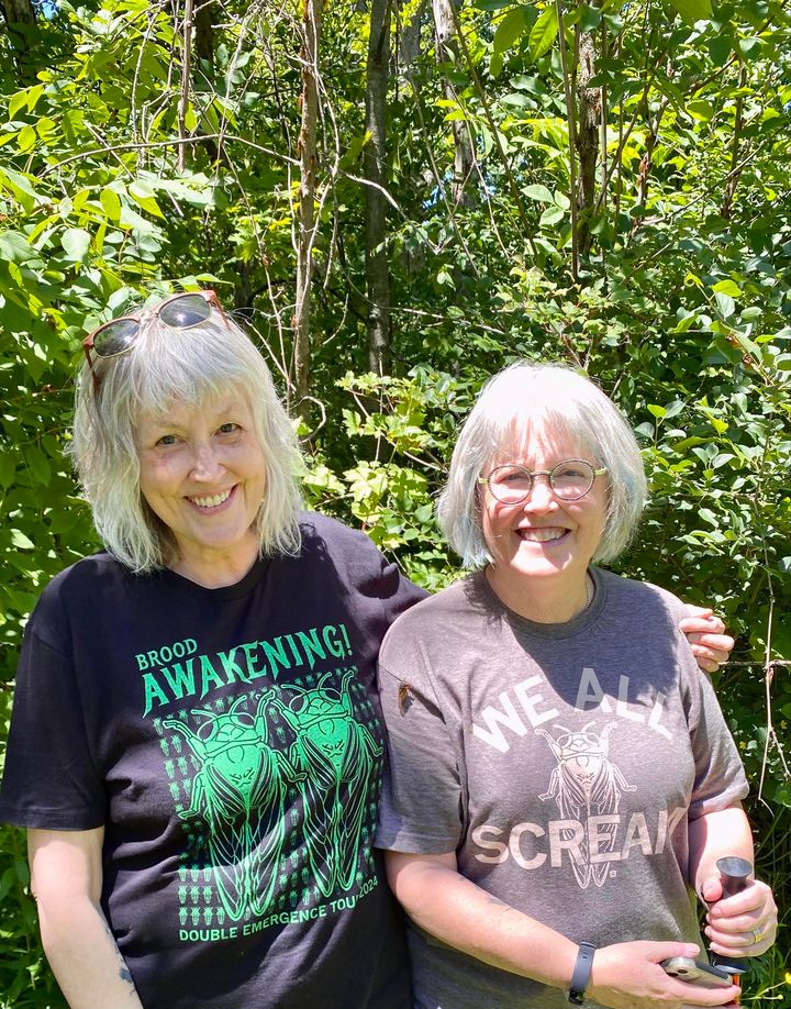 We All Scream Cicada - Image 5