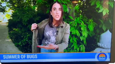 We All Scream Cicada - Image 6